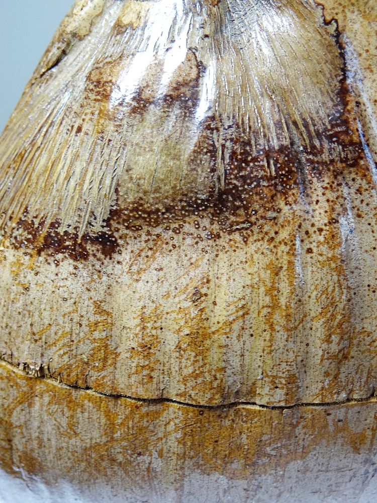 Curiosité boite vintage années 50-60 coco naturalisé seau à glaçons
