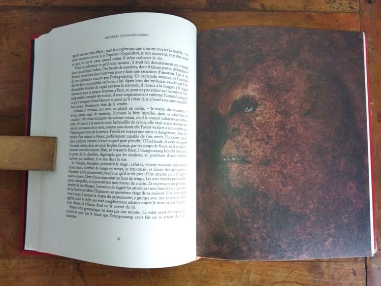 EDGAR ALLAN POE Histoires Extraordinaires Grotesques et Sérieuses Illustrations Leonor FINI