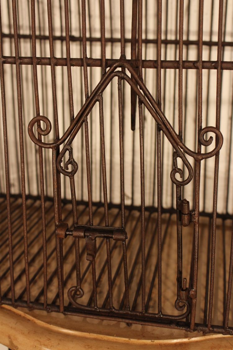 Beautiful Birdcage