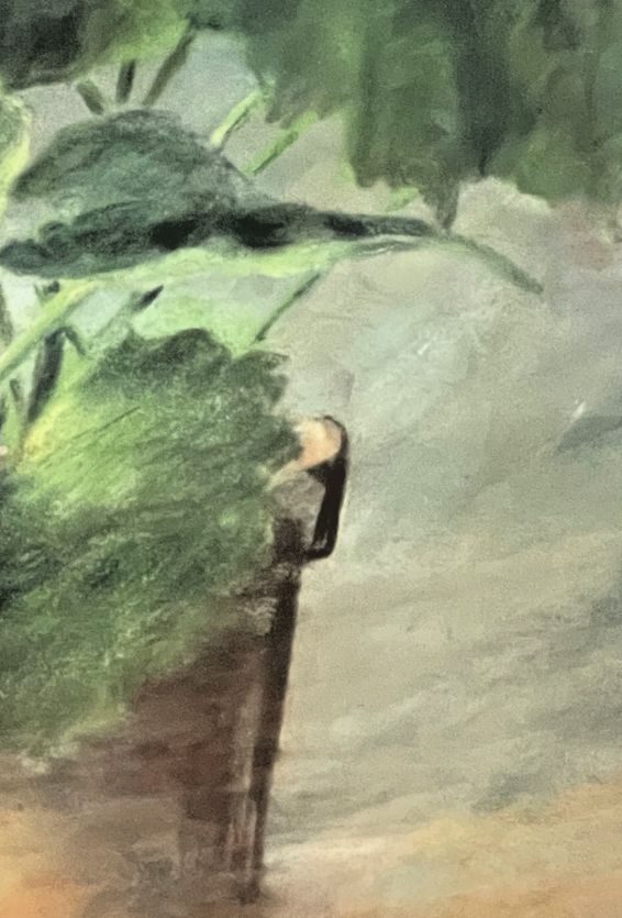Pastell, Topfpflanzen