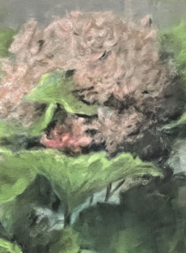 Pastell, Topfpflanzen