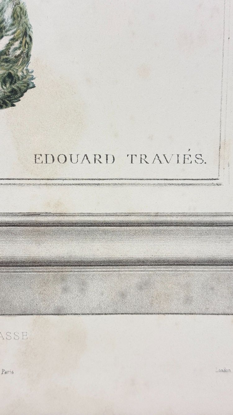 D'après Édouard Traviès – La Bécasse – Lithographie couleur XIXe