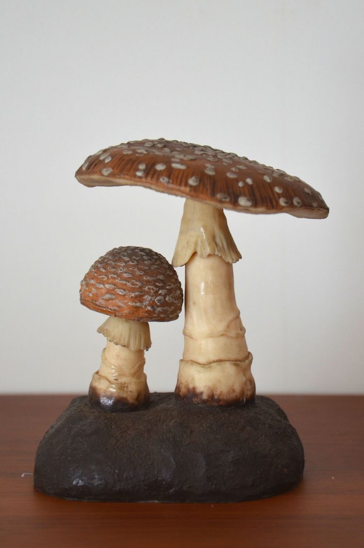 Champignon DEYROLLE Amanite Panthère Circa 1960-1980