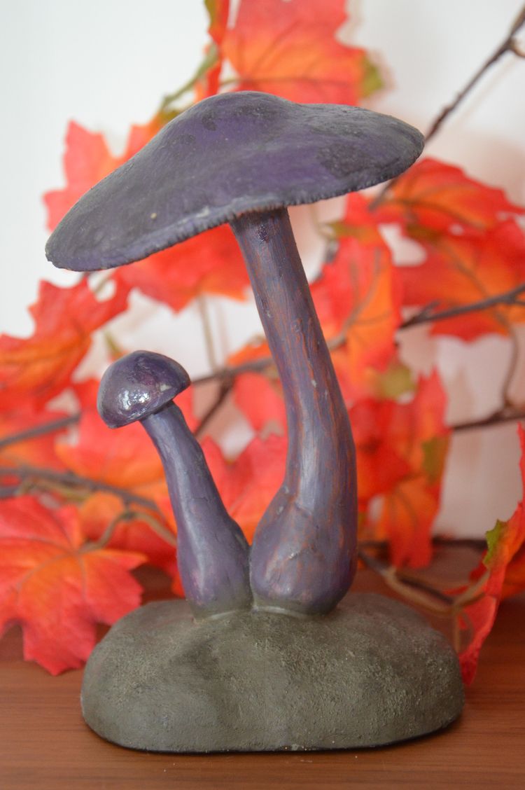 Champignon DEYROLLE Cortinaire Violet Circa 1960-1980