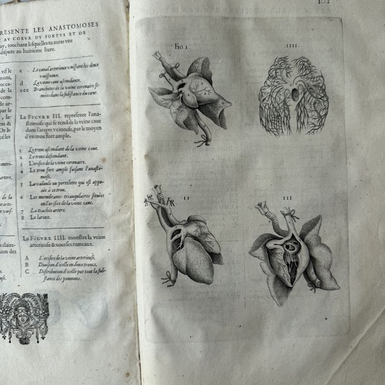 The Complete Anatomical Works of André du Laurens, dated 1621