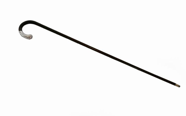 Rosewood and solid silver cane 19th century