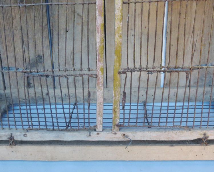 Cage à oiseaux XIXe siècle. 
