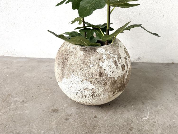 Spherical fiber-cement planter, DLG Willy Guhl, 1960s