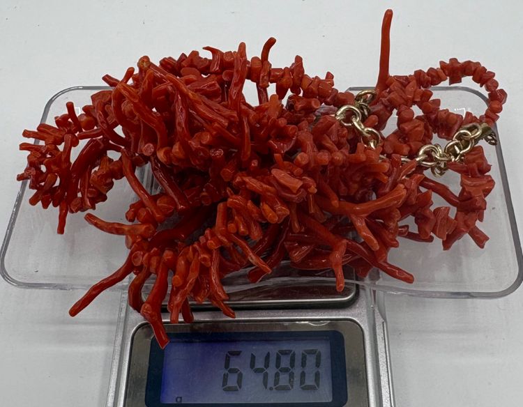 COLLIER CORAIL DE MÉDITERRANÉE 