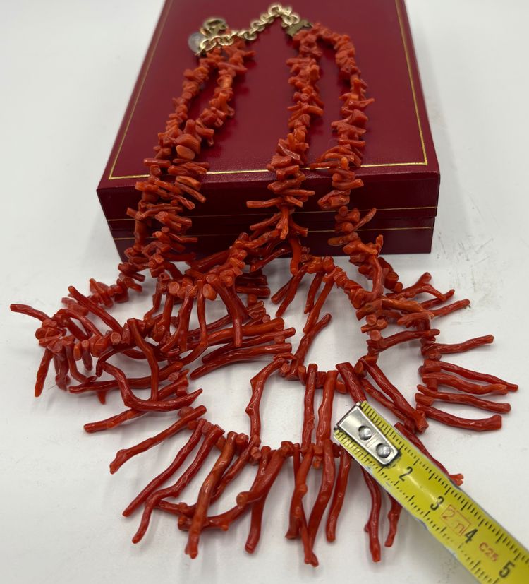 COLLIER CORAIL DE MÉDITERRANÉE 