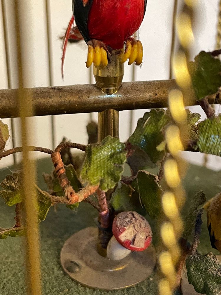 cage à oiseaux chanteurs automates