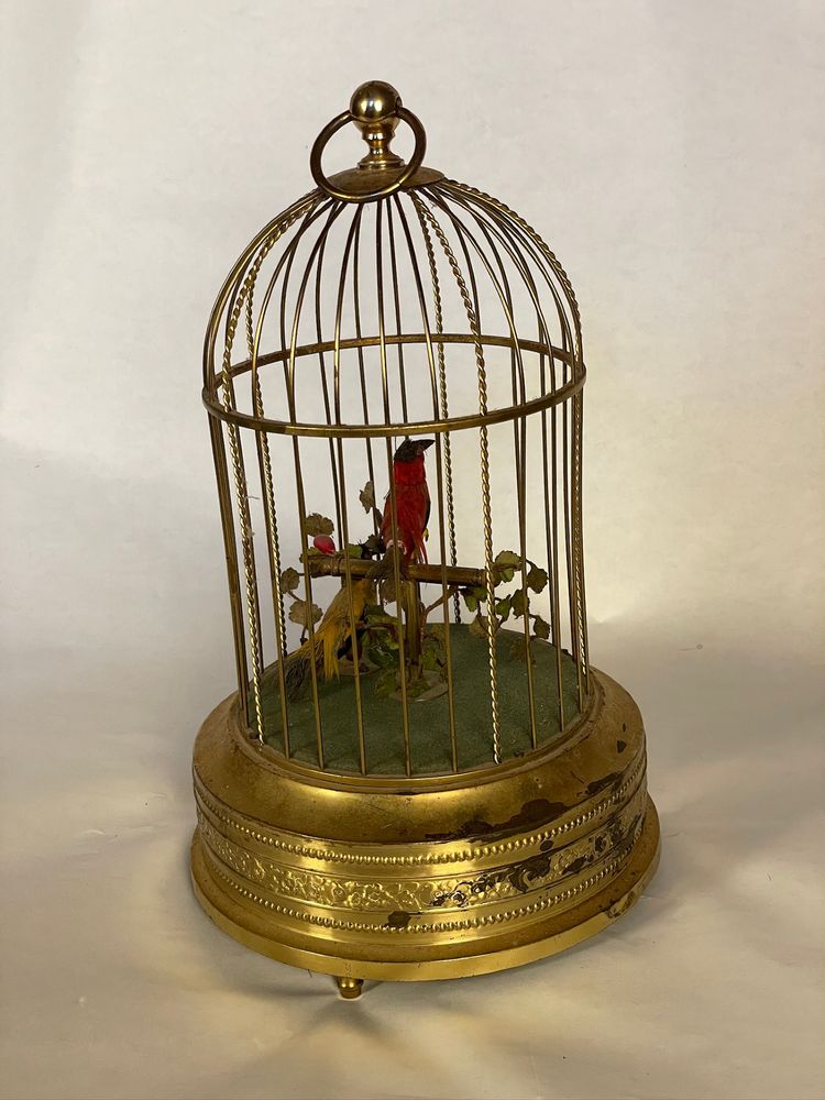 cage à oiseaux chanteurs automates
