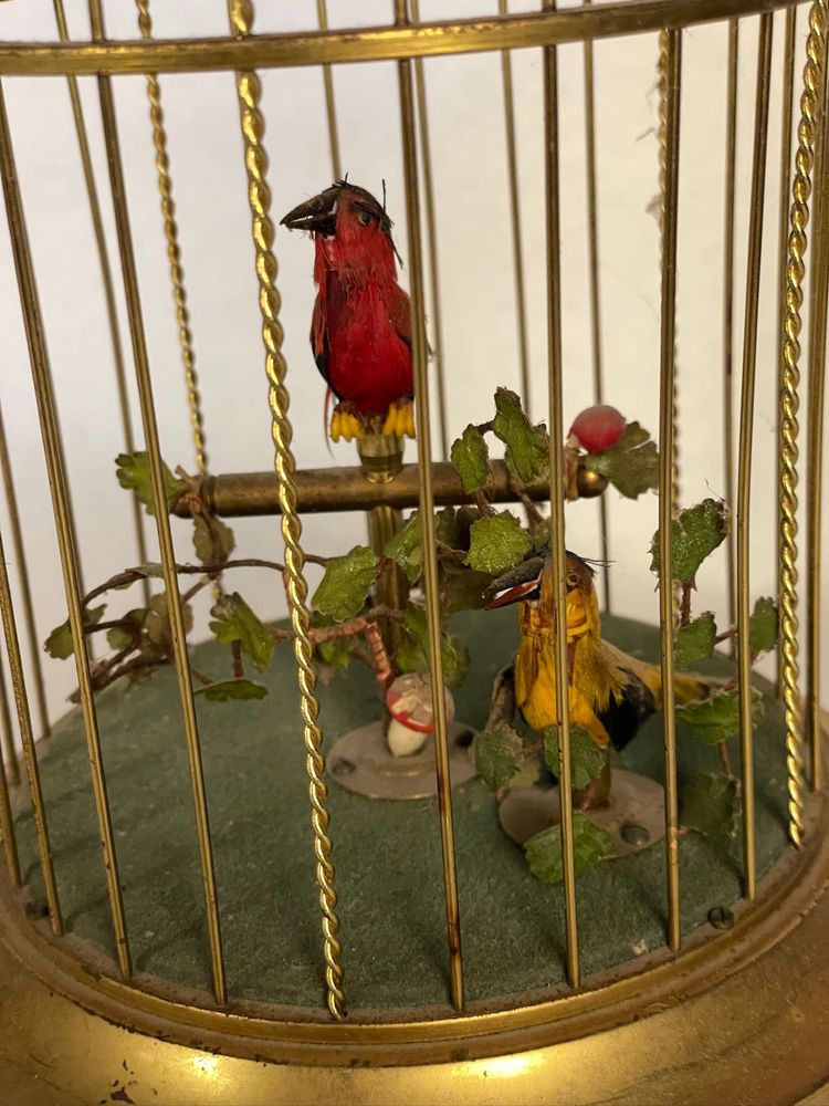 cage à oiseaux chanteurs automates