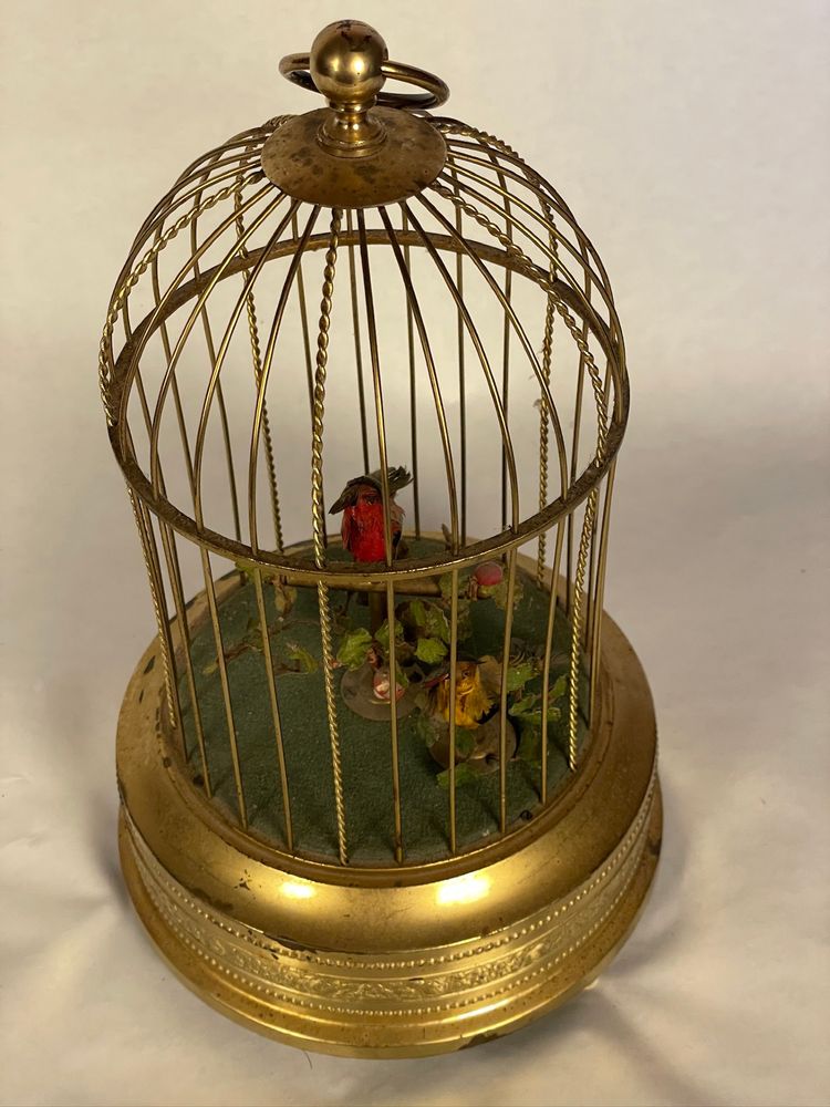 cage à oiseaux chanteurs automates