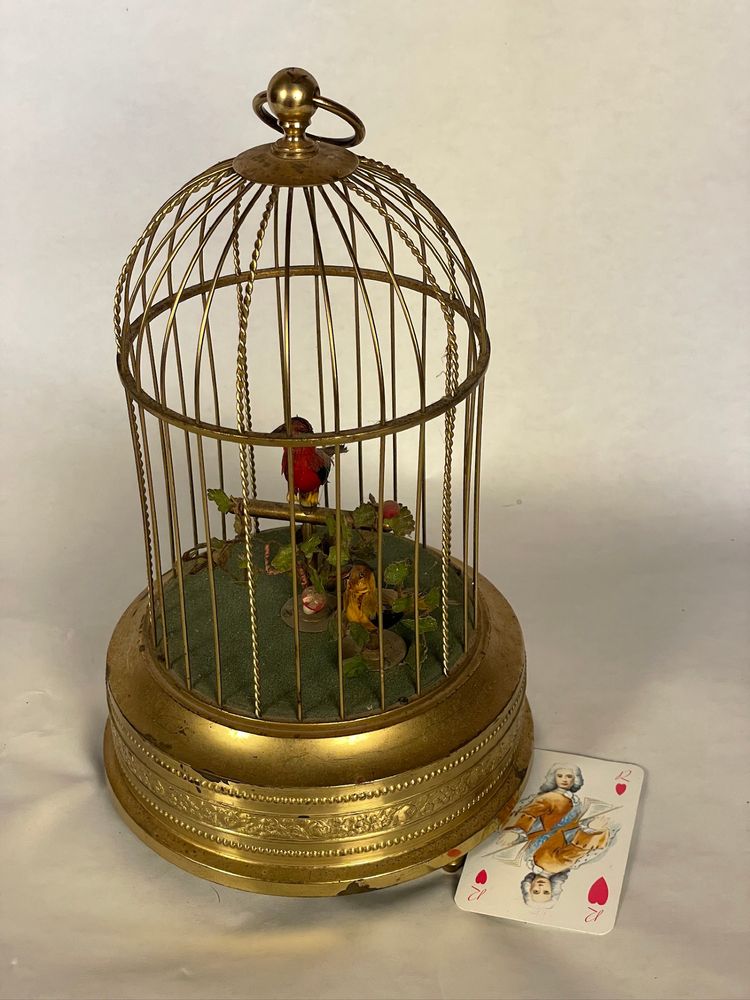 cage à oiseaux chanteurs automates
