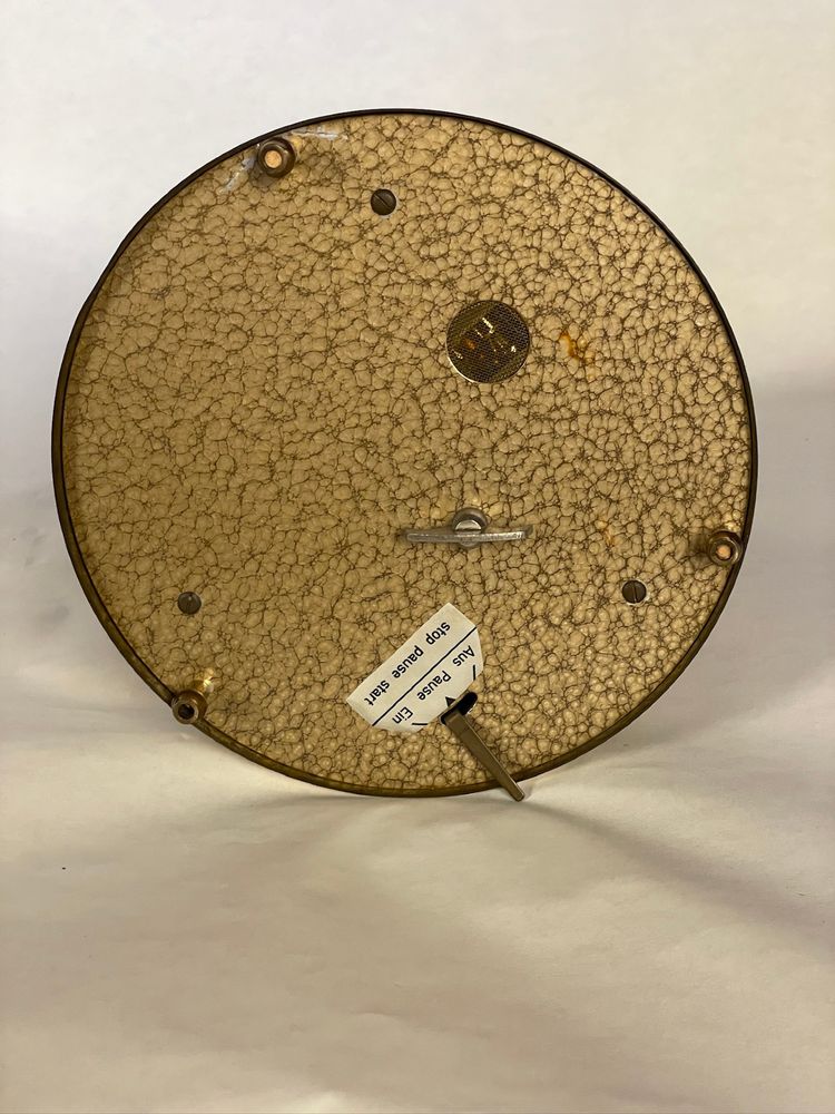 cage à oiseaux chanteurs automates