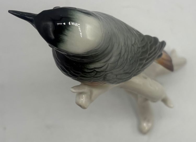 RED TAIL by Karl Hens