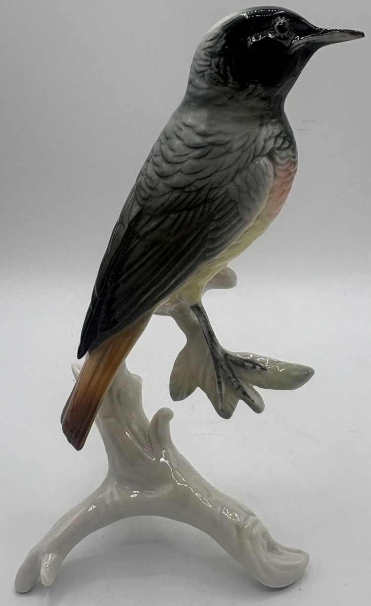 RED TAIL by Karl Hens