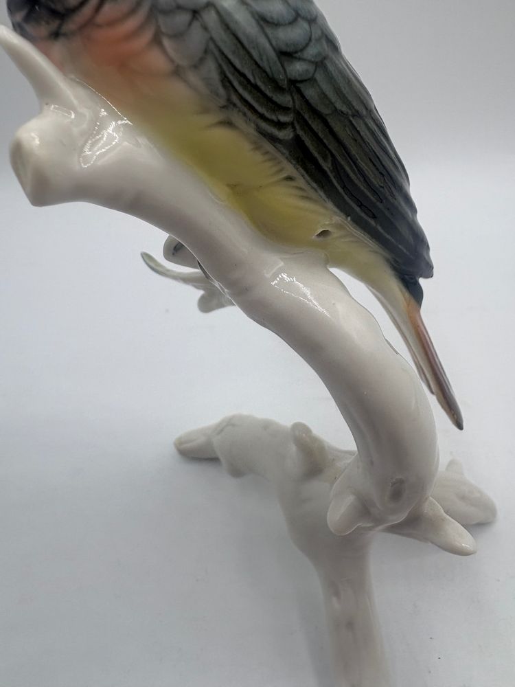 RED TAIL by Karl Hens