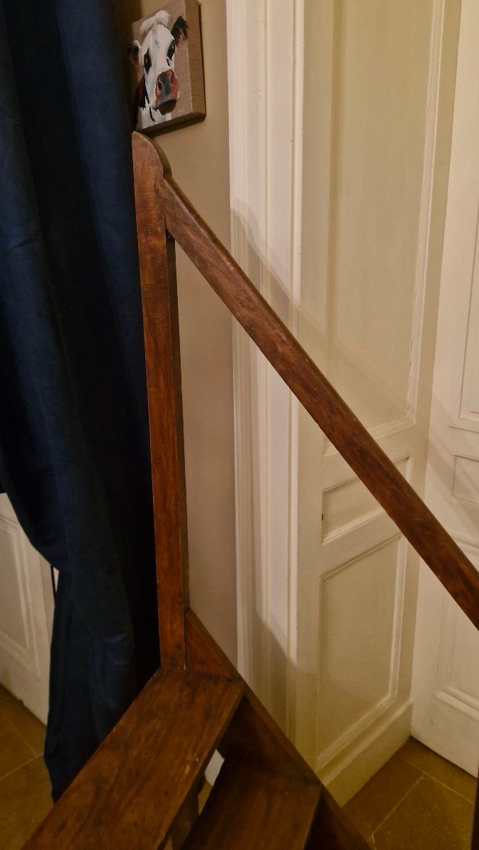 19th-Century Library Step Ladder