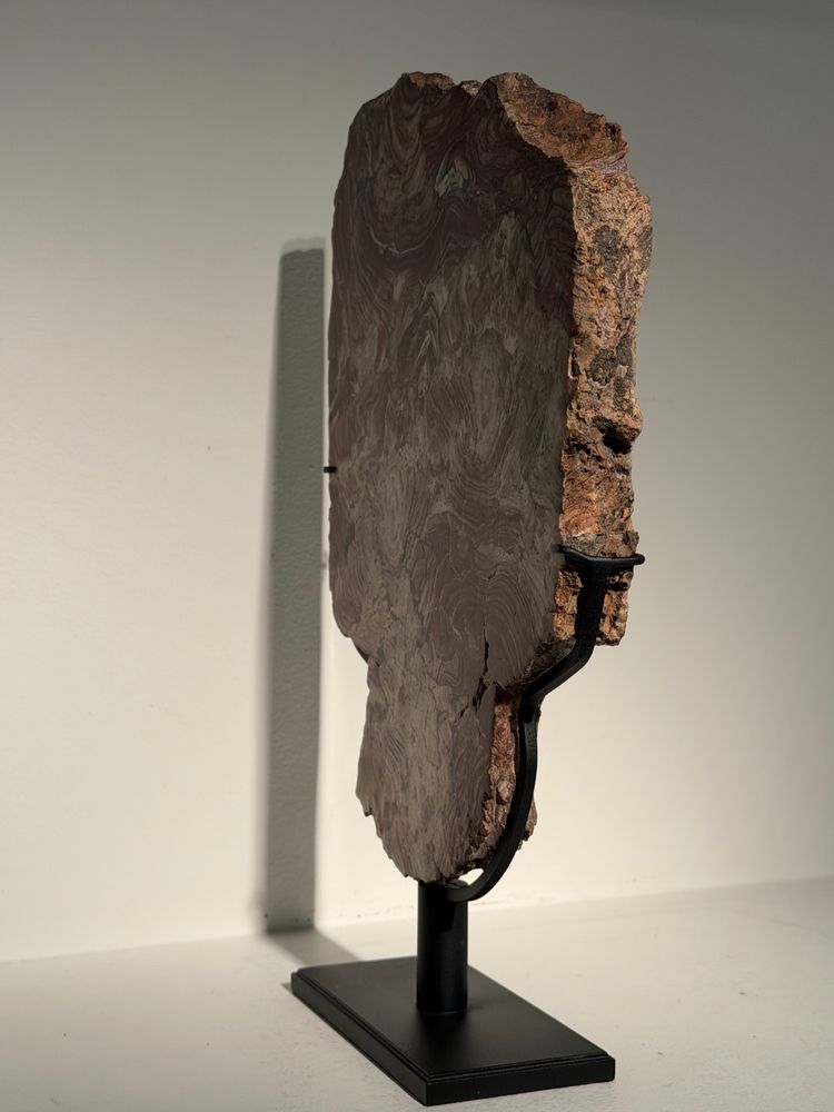 Plaque de stromatolite fossile polie 