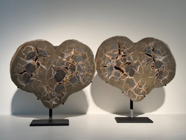 Superbe paire de septaires du Maroc