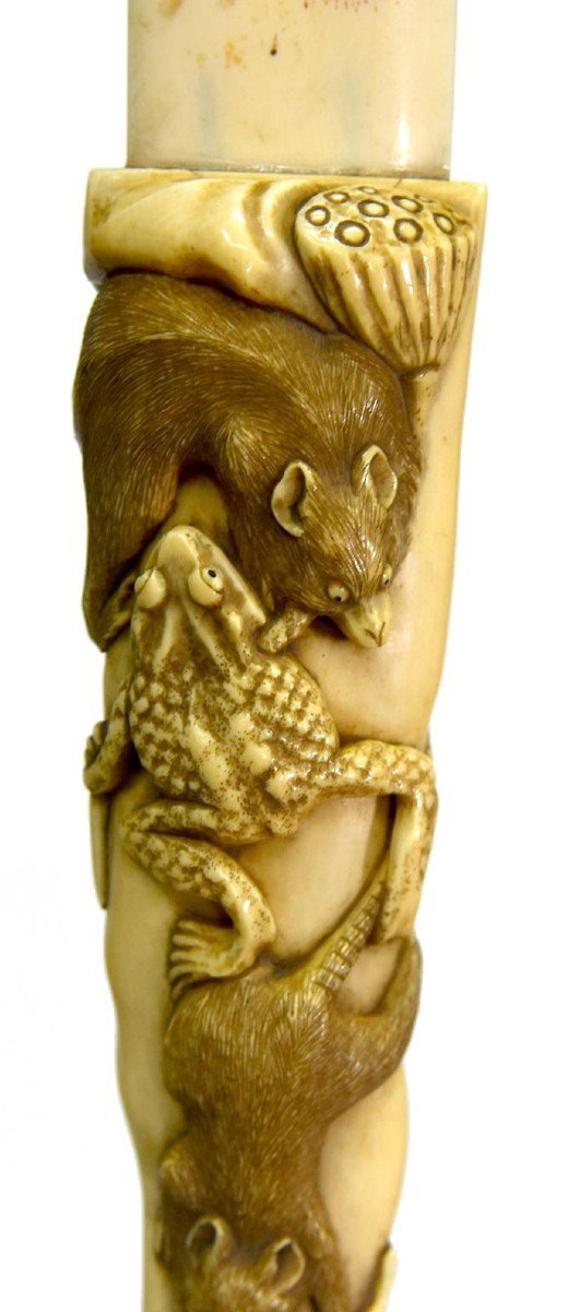 Japanese Letter Opener In Carved Ivory Nineteenth With Rats And Frogs