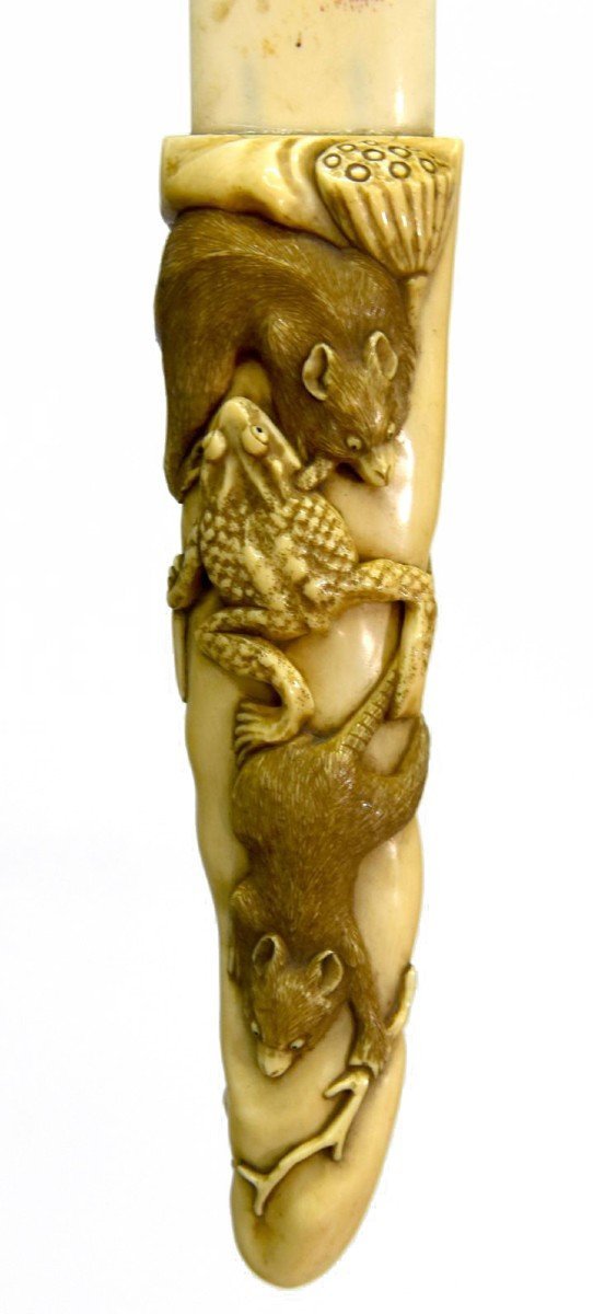 Japanese Letter Opener In Carved Ivory Nineteenth With Rats And Frogs