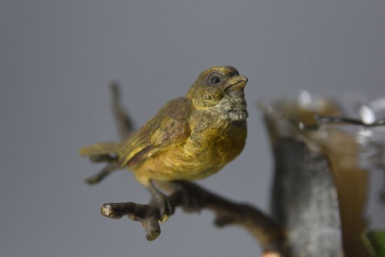 Vase Monté Par Un Bronze De Vienne Ancien Oiseau XIXème