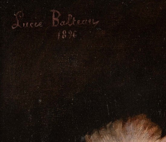 Paire De Tableaux Fleurs XIXéme Siècle