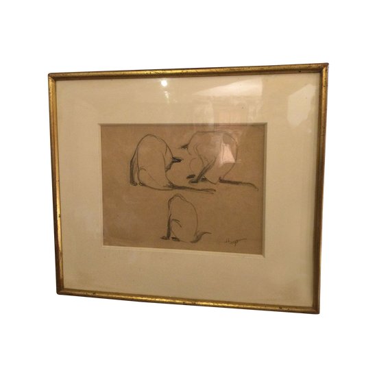 Hélène VOGT "cat study