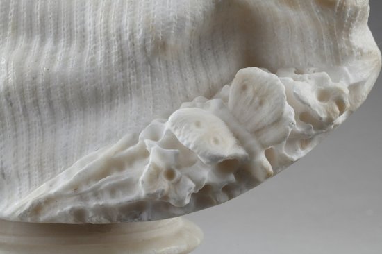 Alabaster Sculpture : Bust Of A Young Girl, 19th Century