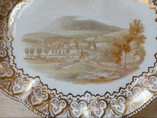 Dish - Porcelain - Royal Worcester - England - About 1850