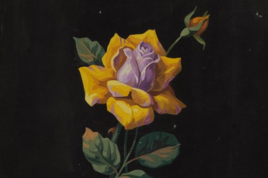 Karton eines Aubusson-Gobelins Blume auf schwarzem Grund