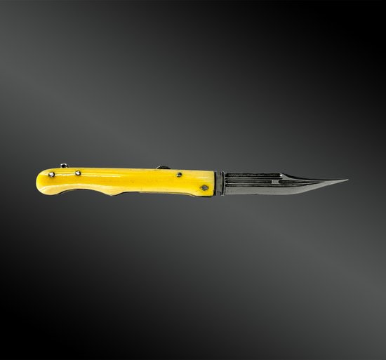 Folding Knife