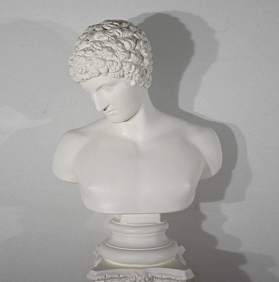 Busto di Antinoüs su colonna - Fine XIX secolo