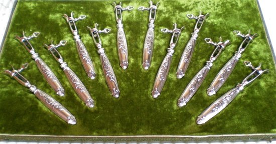 Box of 12 ribbed sleeves silver sleeves filled with art nouveau decor