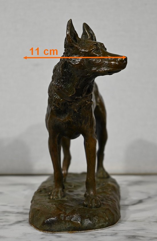 Bronzo "Il pastore tedesco", dopo P-A. Laplanche - Inizio del XX secolo