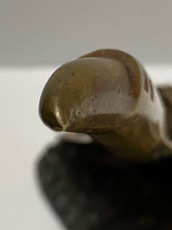 PRESSE PAPIER EN BRONZE 