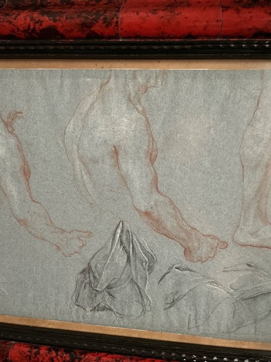 Cadre Ancien Avec Sanguine Etude Anatomie