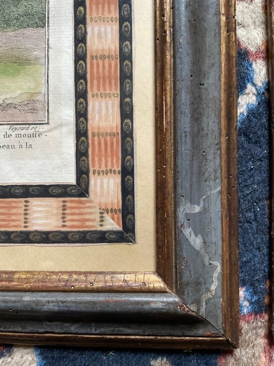 Belle Paire De Gravure Colorée Du 18ieme