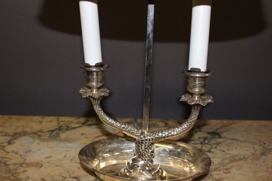 Lampada per borsa dell'acqua calda in bronzo argentato