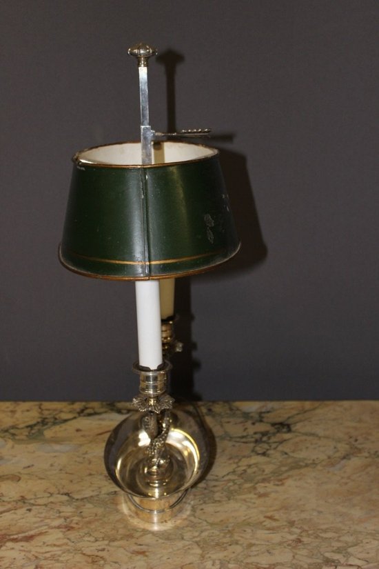 Lampada per borsa dell'acqua calda in bronzo argentato