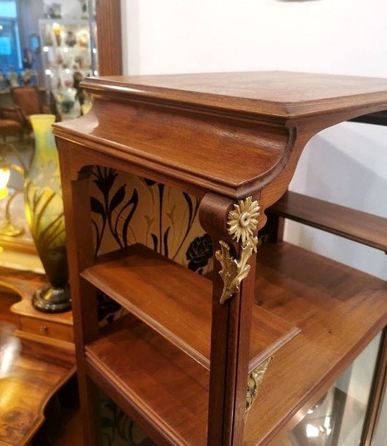 Vitrine De Présentation Art Nouveau