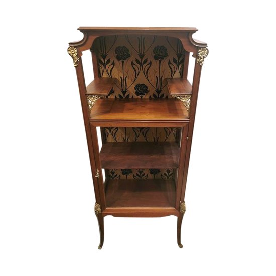 Vitrine De Présentation Art Nouveau