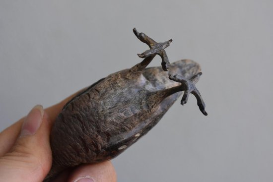 Bécasse En Bronze De Vienne