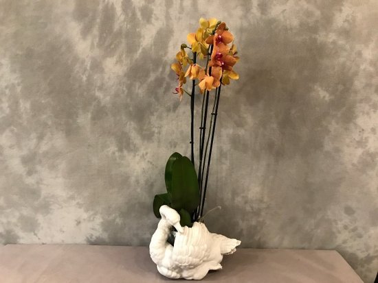 Beautiful 19th century biscuit porcelain swan