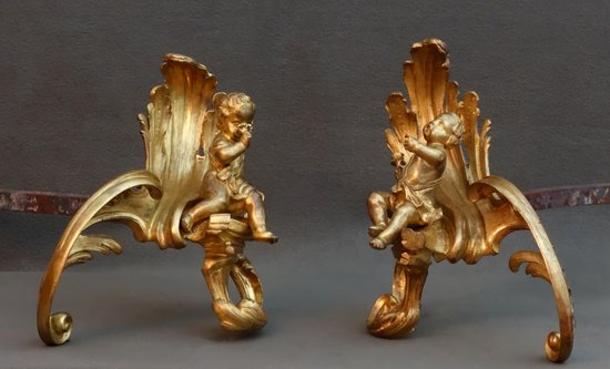 Pair Of 18th Century Rocaille Chenets
