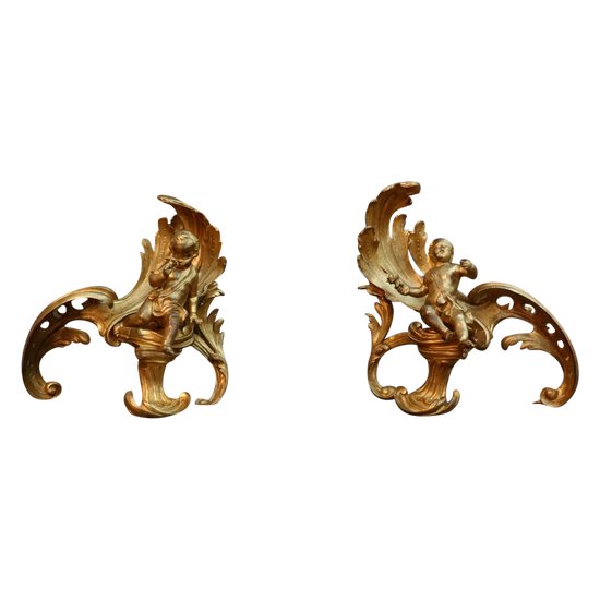 Pair Of 18th Century Rocaille Chenets