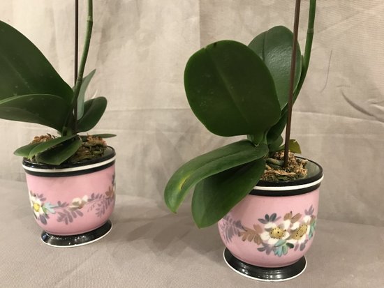 Paire De Mini  Cache-Pots En Porcelaine D’époque 19ème